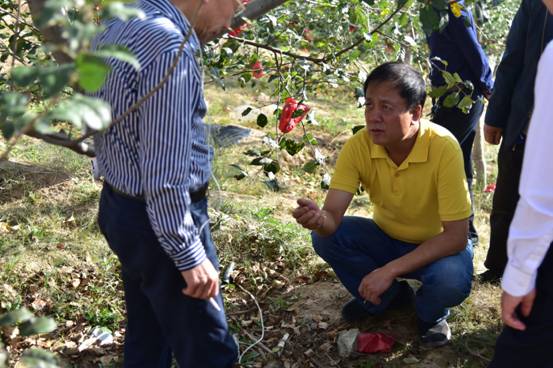 ΢��ͼƬ_20170925095409